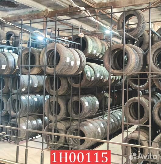 Tigar Winter 1 205/60 R16 96V