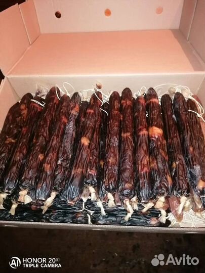 Оптом Казы Махан Курахан, Без Жил