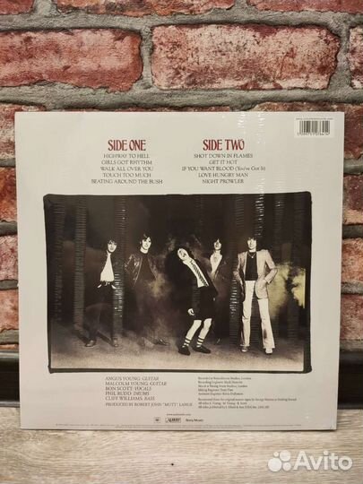 Виниловая пластинка AC/DC