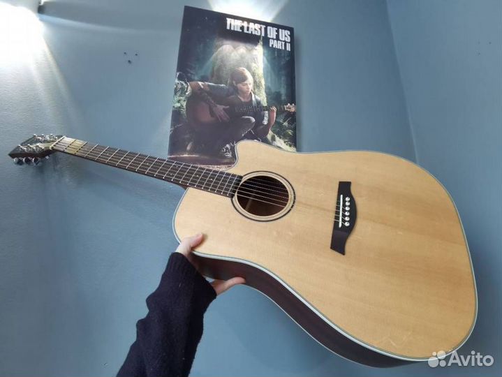 Электроакустика Parkwood S26 GT С Чехлом