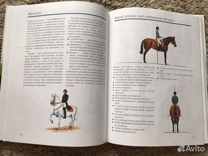 Книги про лошадей