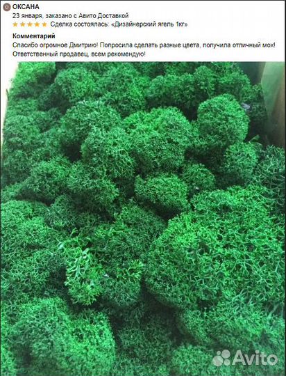 Стабилизированный мох от производителя оптом ягель