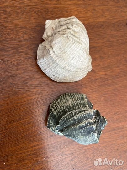 Украшения для аквариума