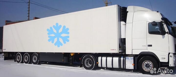 Перевозки Длиномер Борт Трал Площадка Фура от 5 тн