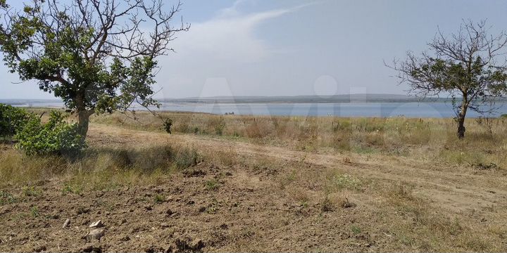 Участок 6 га (СНТ, ДНП)