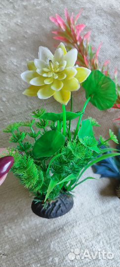 Декорации для аквариума