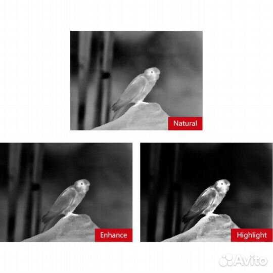 Тепловизионный монокуляр guide TK451