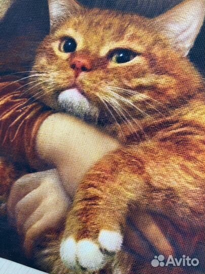 Постер Джаконда Мона Лиза с котом новый 30/40