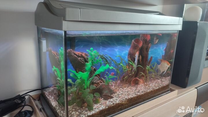 Аквариум Tetra - 60 литров