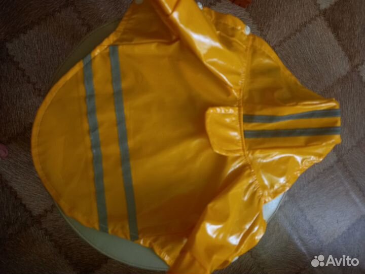 Одежда для собак