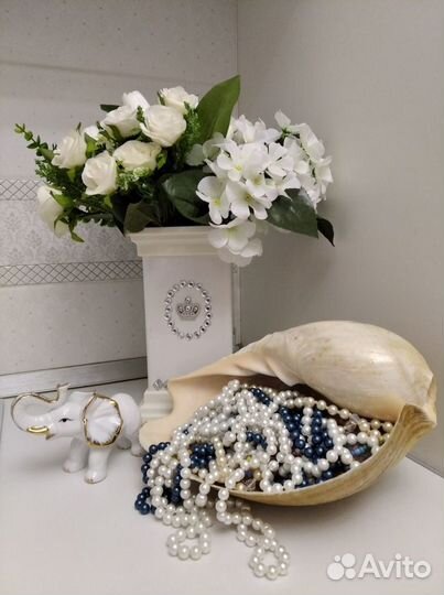 Большая морская раковина