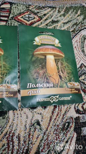 Мицелий грибов подберезовик польский гриб