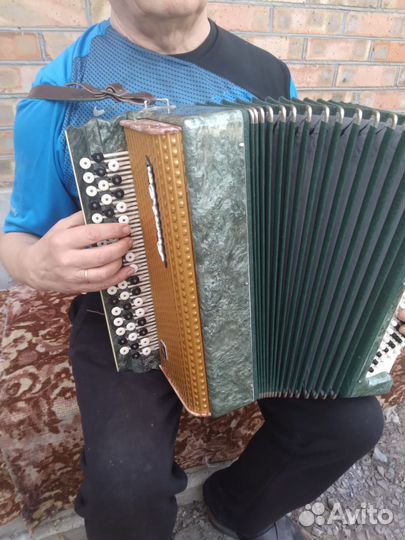 Баян ростов дон