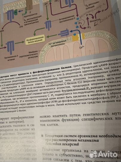 Фармакология. Клинический подход