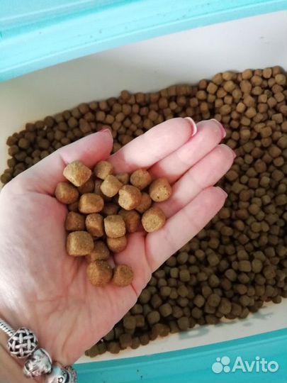 Собачий корм 35% мяса