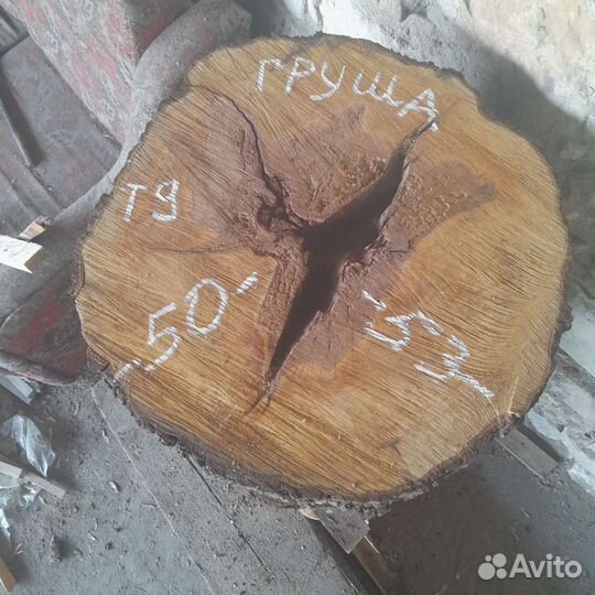 Спил поперечныи ореха