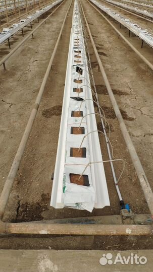 Лотки для теплиц