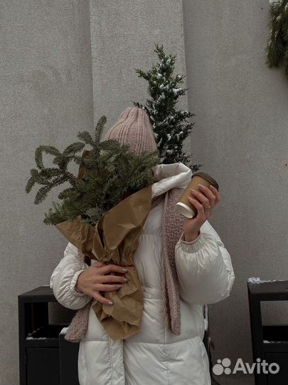 Визуализатор фотограф