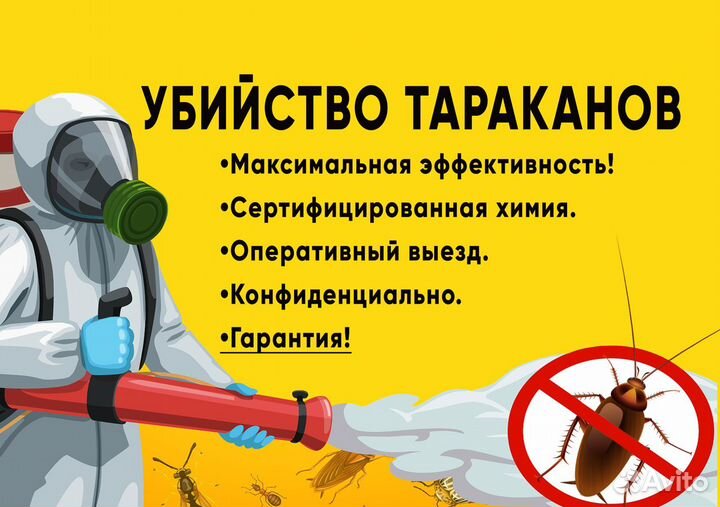 Обработка, выведение, тараканов, клопов, клещей