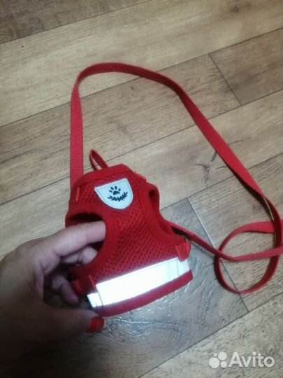 Поводок и шлейка