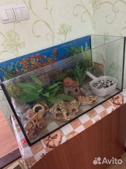 Аквариум