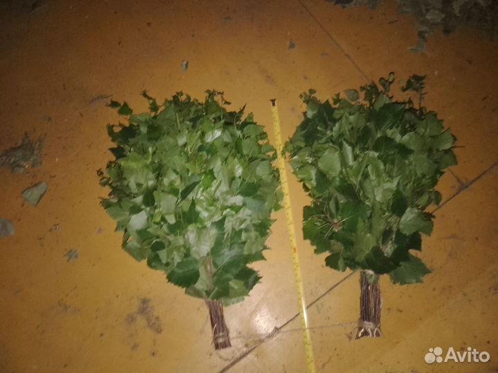Березовые веники