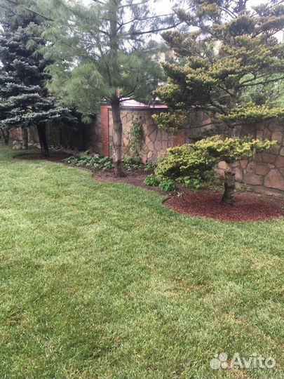 Укладка рулонного газона