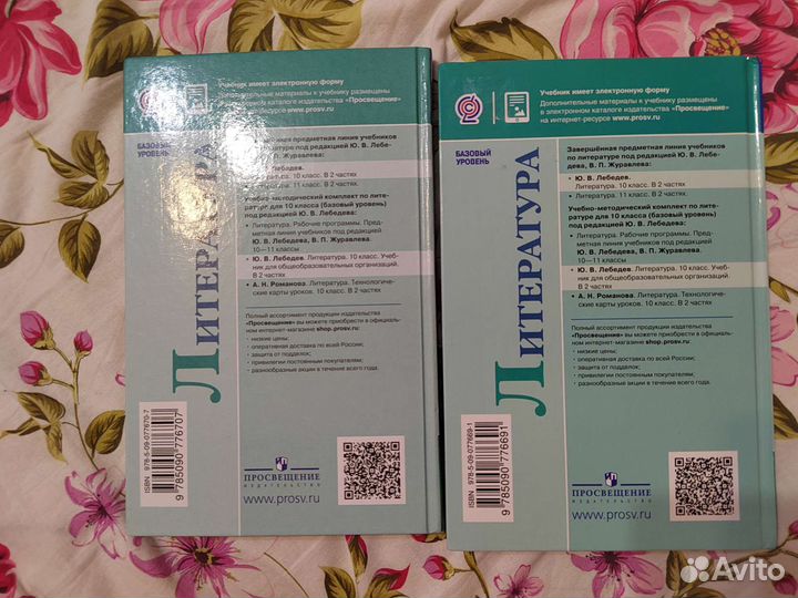 Учебник по литературе, 10 класс