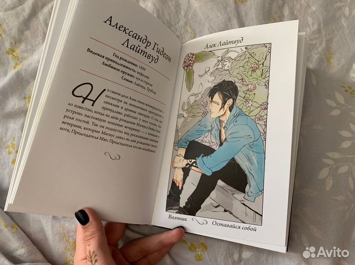 Кассандра Клэр Знаменитые Сумеречные охотники