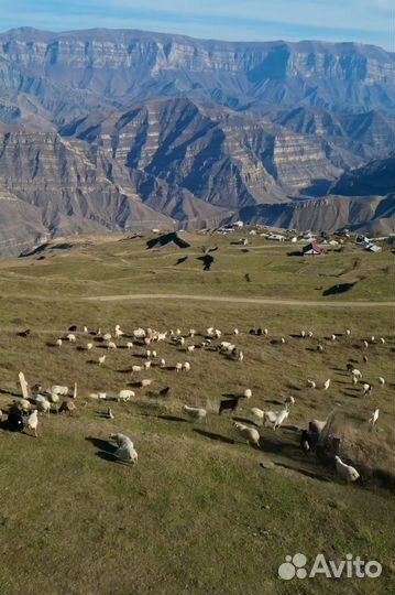 Аэросъемка с квадрокоптера. Пилот дрона