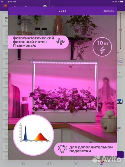 Фитолампа и контейнеры для рассады