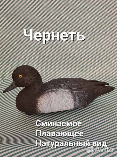 Чучела + сумка