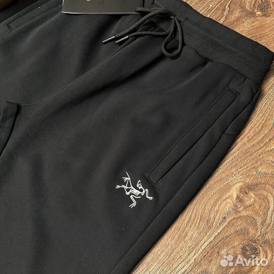 Спортивные штаны arcteryx