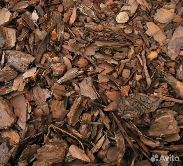 Кора сосны мульча