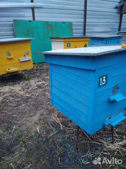 Улей с пчелами