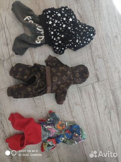 Одежда для собак (для Йорка)