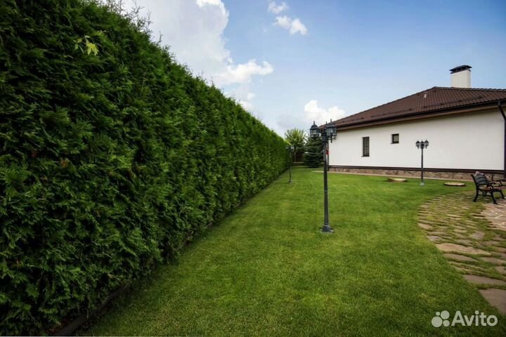 Рулонный газон Premium. Доставка, укладка