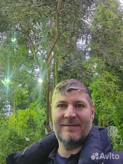 Доверительное управление недвижимостью