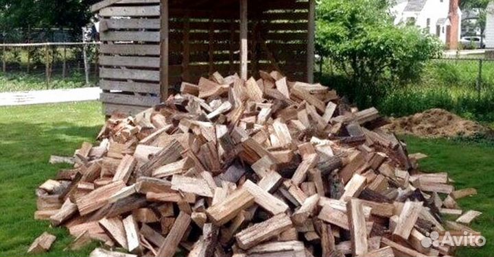 Дрова в область