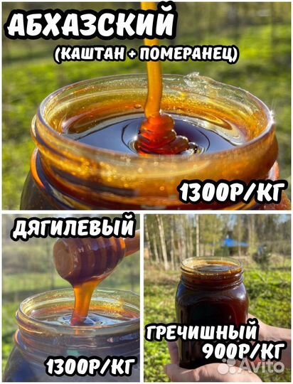 Отговорю покупать Свежий мед 2024г