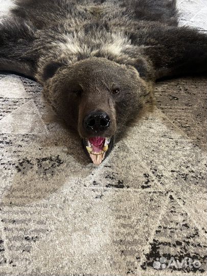 Шкура ковер медведя ''имитация''