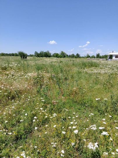 Участок 15 сот. (ИЖС)