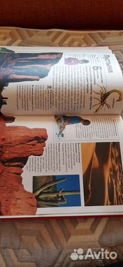 Большая энциклопедия школьника Махаон