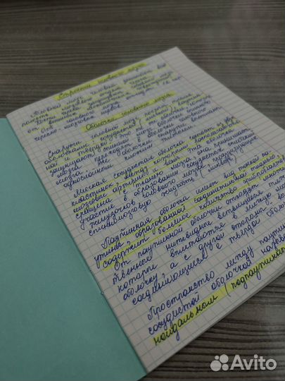 Перепишу лекции. Набор текста в Ворд