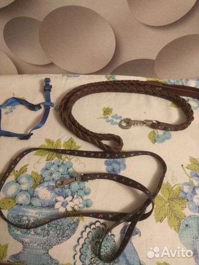 Поводочки и ошейник-шлейка