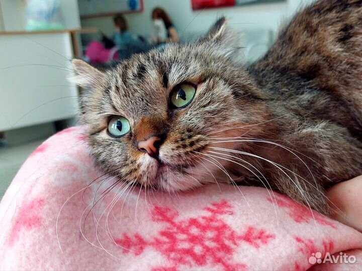 Помогите найти дом