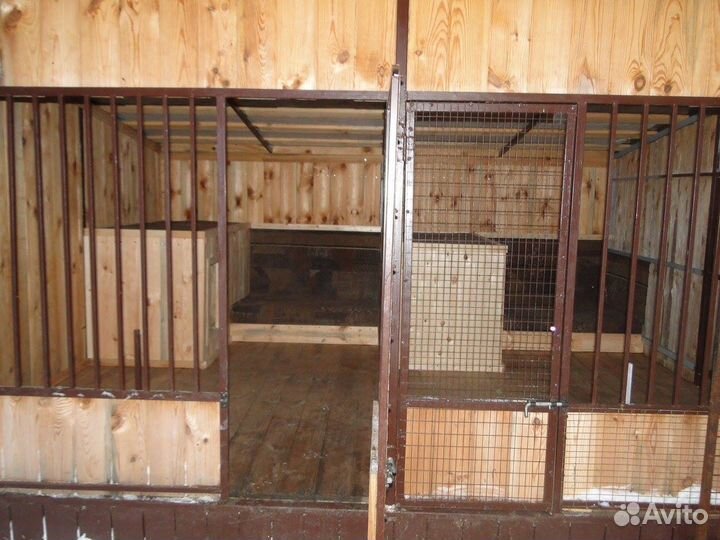 Передержка собак Гостиница для собак