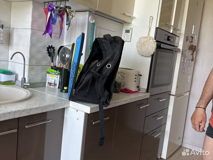 Переноска для кошек бу