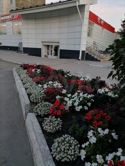 Торговая площадь, 320 м²
