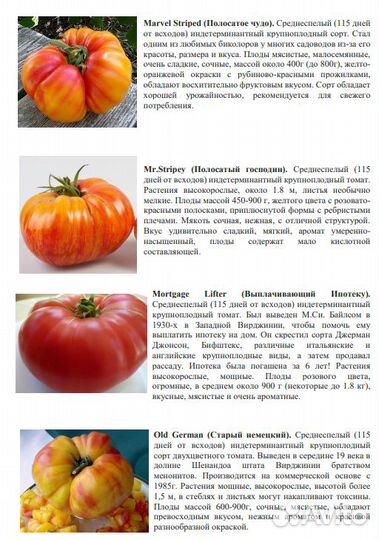 Томаты Лучшие коллекционные сорта Каталог